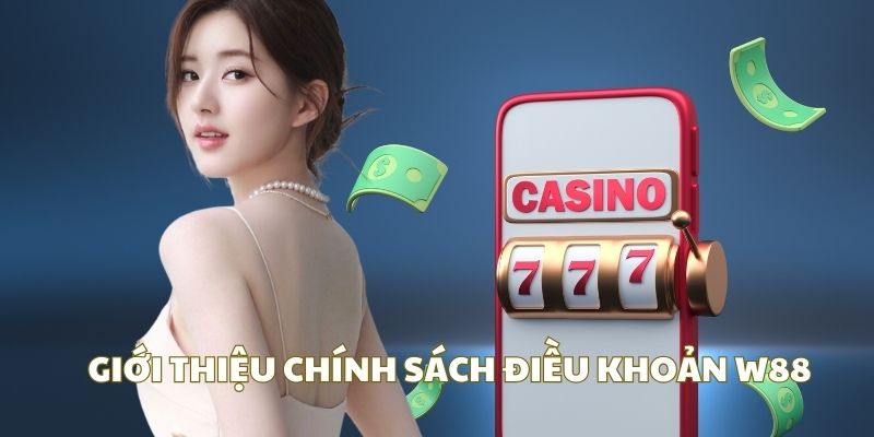 Tổng quan chung về điều khoản W88