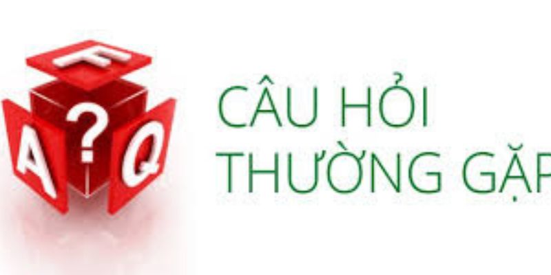 Những câu hỏi thường gặp W88